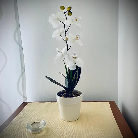 Mayami Apartman Fiume