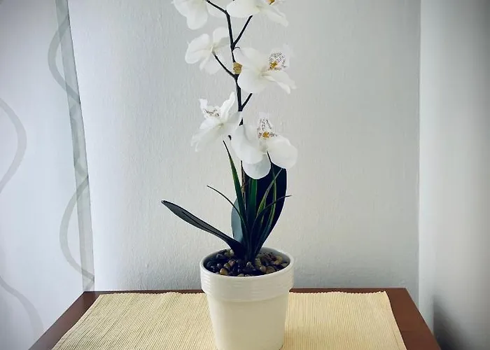 Mayami Διαμέρισμα Ριέκα